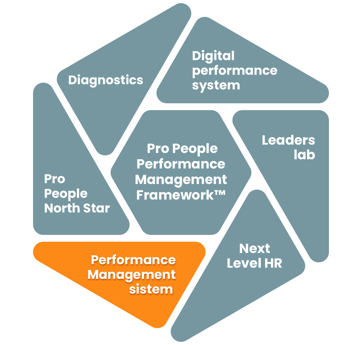 Performance Management System